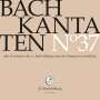 Johann Sebastian Bach: Bach-Kantaten-Edition der Bach-Stiftung St.Gallen - CD 37, CD