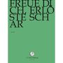 Johann Sebastian Bach: Bach-Kantaten-Edition der Bach-Stiftung St.Gallen - Kantate BWV 30, DVD