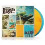 : The Many Faces Of The Beach Boys (180g) (Limited Edition) (Blue/Yellow Transparent Marbled Vinyl), LP,LP