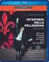 : Intermedi della Pellegrina Firenze 1589 - An Itinerant Show in the Boboli Gardens, BR
