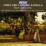 Amilcare Zanella (1873-1949): Sonaten für Violine & Klavier op.71 & op.72, CD
