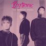 Boytronic: The Working Model, 2 LPs