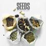 Sahib Shihab (1925-1989): Seeds, LP