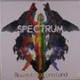 Riccardo Romano Land: Spektrum, LP