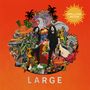 Mellow Mood: Large, LP, LP