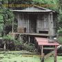 Jeffrey Lee Pierce: Anarchic Blues, 2 LPs