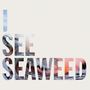 The Drones: I See Seaweed, LP