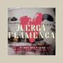 Maria Del Tango / Jeronimo Maya: Maria Del Tango - Juerga Flamenca II, CD