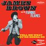 James Brown: Tell Me What You'r Gonna Do / Shout And Shimmy, CD