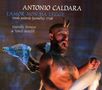 Antonio Caldara: L'Amor Non Ha Legge, 3 CDs