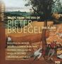 Music from the Era of Pieter Bruegel The Elder, 7 CDs