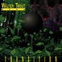 Walter Trout: Transition, CD
