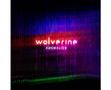 „Wolverine Anomalies“ in leuchtenden Buchstaben. Farbenfrohes, abstraktes Hintergrundmuster in Blau, Rot und Grün., LP