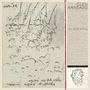 Glen Hansard: This Wild Willing (180g) (Clear Vinyl), 2 LPs