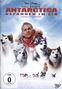 Frank Marshall: Antarctica - Gefangen im Eis, DVD