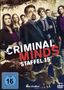 Criminal Minds Staffel 15 (finale Staffel), 3 DVDs