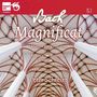 Johann Sebastian Bach: Messen BWV 233-236 (Lutherische Messen), CD,CD