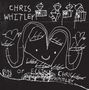 Chris Whitley: Din Of Ecstasy (Music-On-CD-Edition), CD