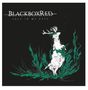 BlackboxRed: Salt In My Eyes (180g) (Limited Edition) (Colored Vinyl), LP