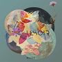 Lesoir: Mosaic, CD