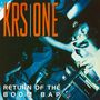 KRS-One: Return Of The Boom Bap (180g), 2 LPs