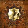 Sarah McLachlan: Mirrorball (180g) (Limited Numbered Edition) (Silver & Black Marbled Vinyl), 2 LPs