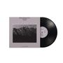 Kenny Barron (geb. 1943): Landscape (180g), LP