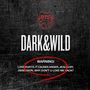 BTS (Bangtan Boys/Beyond The Scene): Dark & Wild (Limited Edition), CD
