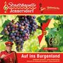 Stadtkapelle Jennersdorf: Auf ins Burgenland (45 Jahre), CD, CD