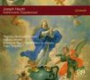 Joseph Haydn (1732-1809): Violinkonzerte H7a Nr.1 & 4, Super Audio CD