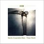 : Merlin Ensemble Wien - Peter Matic, CD