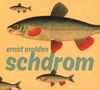 Ernst Molden: Schdrom, CD