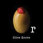 Olive Grove: "r", CD, CD