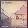 "Dim Prospects", "Abscheu und Neugier", ein altes Gemäuer, dahinter eine Strandlandschaft, Schallplatte sichtbar., LP