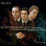 "Bohemian Rhapsody", Mercury/Buc, Smetana, Dvořák, Benaud Trio. Drei Männer in Anzügen, ernst und vor einem farbigen Hintergrund., CD