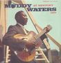 Muddy Waters: Muddy Waters At Newport, LP