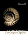 Charles R. Darwin: Darwin, C: Origin of Species, Buch