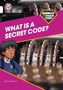 Stevie Derrick: Shinoy and the Chaos Crew: What is a secret code?, Buch