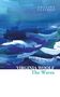 Virginia Woolf: The Waves, Buch