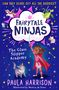 Paula Harrison: The Glass Slipper Academy, Buch