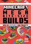 Mojang: Minecraft Mega Bite-Size Builds, Buch