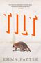 Großer orangefarbener Text „TILT“. Darunter läuft ein Waschbär über eine helle, strukturierte Oberfläche., Buch