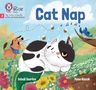 Inbali Iserles: Cat Nap, Buch