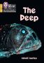 Inbali Iserles: The Deep, Buch