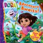 Dora: Dora Adventure Awaits!, Buch