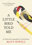 Matt Sewell: A Little Bird Told Me, Buch