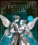 „ENCHANTED REALMS: A Romantasy Coloring Book. Over 70 pages to color.“ Zwei Elfenfiguren in detailreichen Gewändern.
