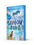 „The Shadow Pony“, Olivia Wakeford, Illustration von David Litchfield. Blaues Cover, Silhouette eines Ponys und Hundes., Buch