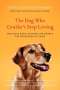 Jeffrey Moussaieff Masson: The Dog Who Couldn't Stop Loving, Buch