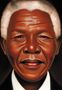 Kadir Nelson: Nelson Mandela, Buch
